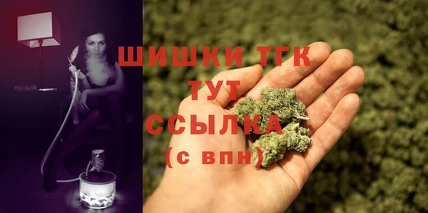 прущая мука Корсаков