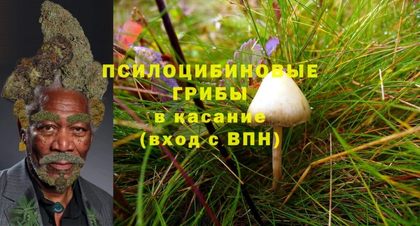 ПСИЛОЦИБИНОВЫЕ ГРИБЫ Коряжма