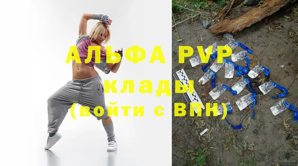 PSILOCYBIN Костерёво