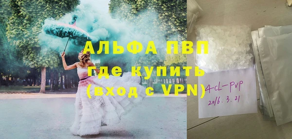 ПСИЛОЦИБИНОВЫЕ ГРИБЫ Коряжма
