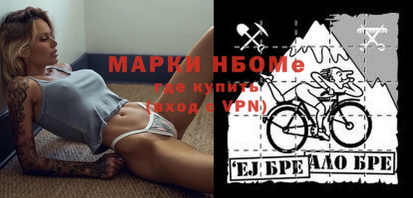ПСИЛОЦИБИНОВЫЕ ГРИБЫ Коряжма