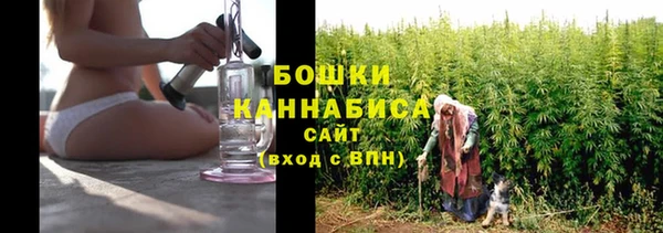 прущая мука Корсаков