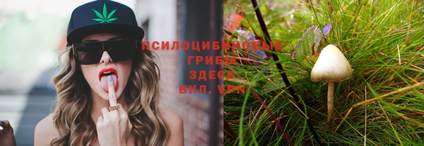 ПСИЛОЦИБИНОВЫЕ ГРИБЫ Коряжма